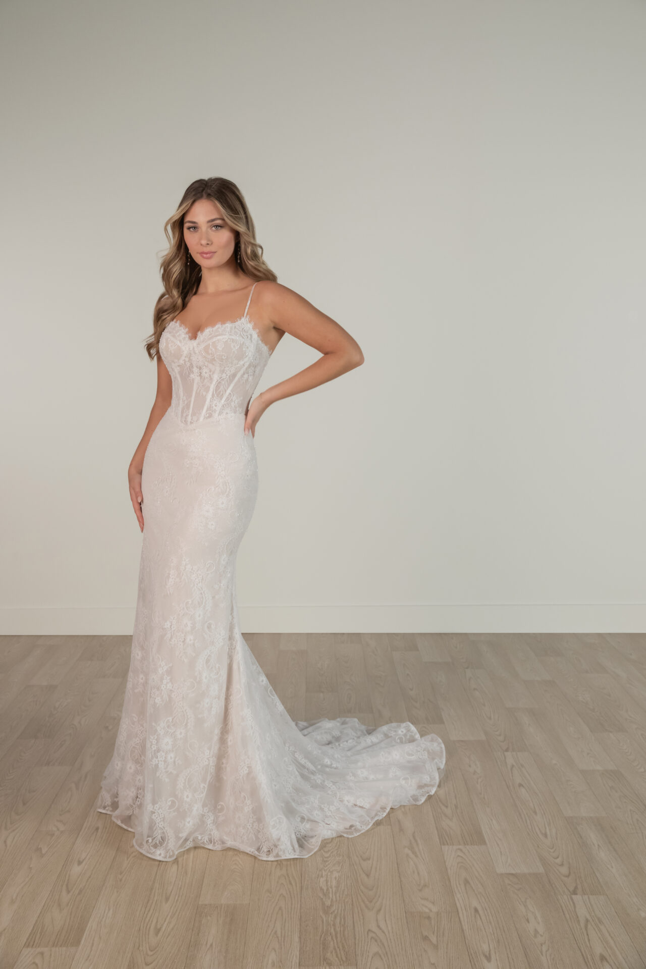 SY8122 by Stella York